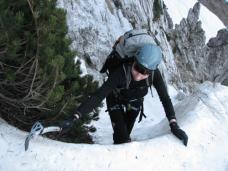 Klik za večjo sliko